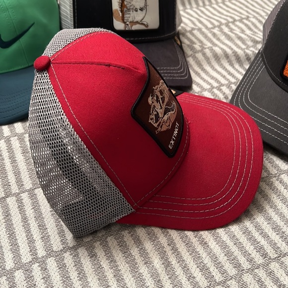 Extinct - Picture 2 of 2